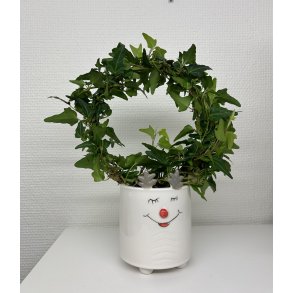 Urtepotte skjuler hvid keramik 