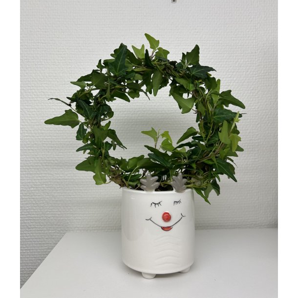 Urtepotte skjuler hvid keramik 