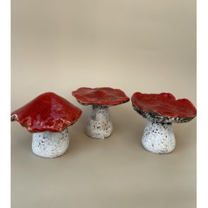 Assorterede svampe i keramik